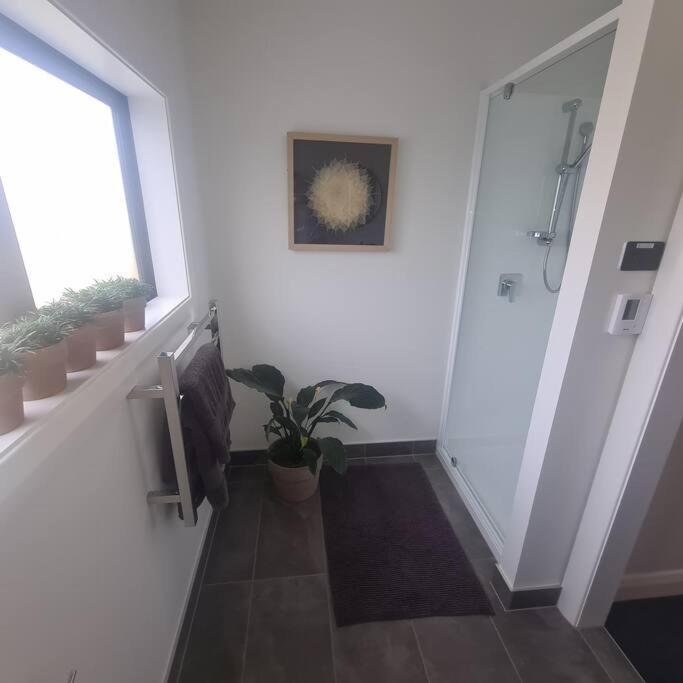 Apartment 3 - Haddin Court - Industrial Glam Blenheim Ngoại thất bức ảnh